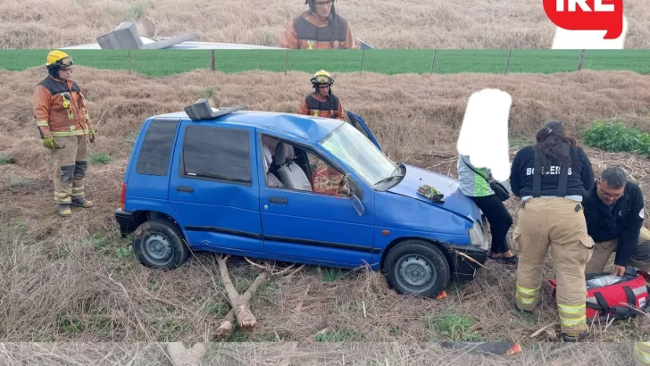 Un mujer volcó su auto por esquivar a dos perros que se cruzaron en ruta 91