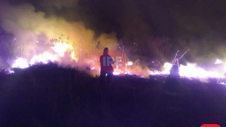 Incendios otra vez: Bomberos de Barrancas sofocaron pastizales en Ruta 11 y Autopista