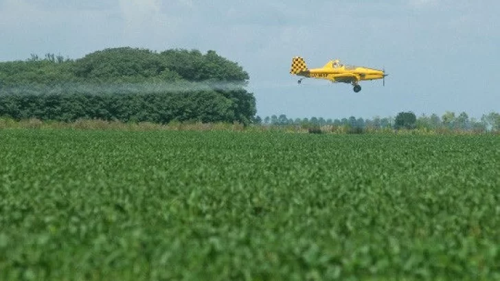 Relanzan el proyecto de Ley Fomento a la Agroecología