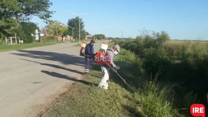 Caso de dengue: Continúa la fumigación y entregan repelentes