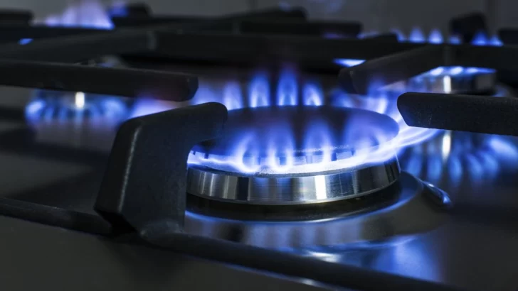 Senadores Nacionales propusieron una baja de entre el 30 y el 50% del costo del gas
