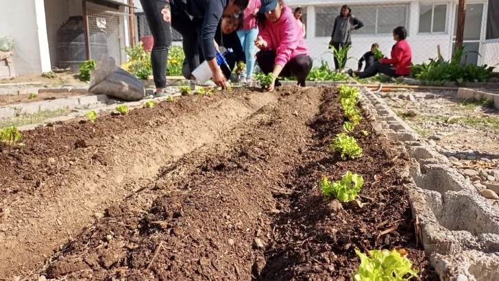 Carrizales y Serodino comenzaron a entregar semillas del Pro Huerta