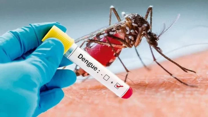 Se detectó un caso de dengue en Serodino y se activó el protocolo de fumigación