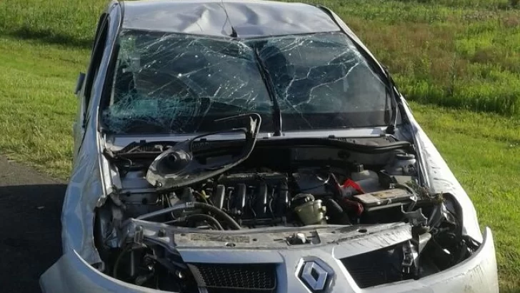 Despiste y vuelco sobre la Autopista