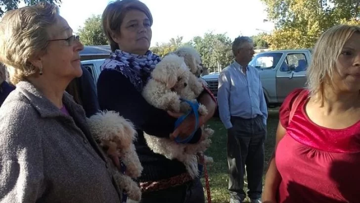 Jornada de Castración de Mascotas en Serodino