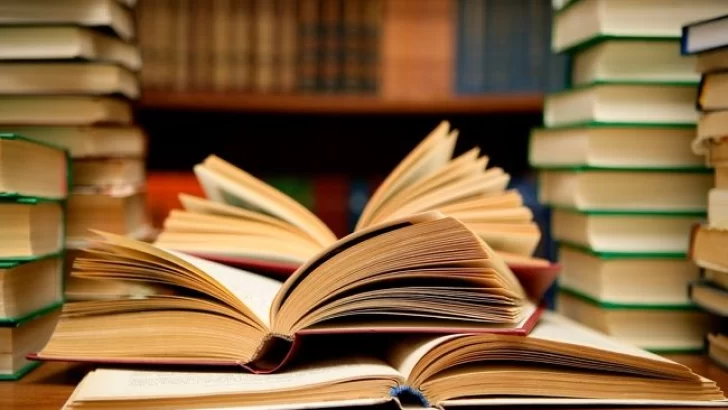 Jornadas de lectura, talleres y mucho movimiento de libros en la biblio Alcacer