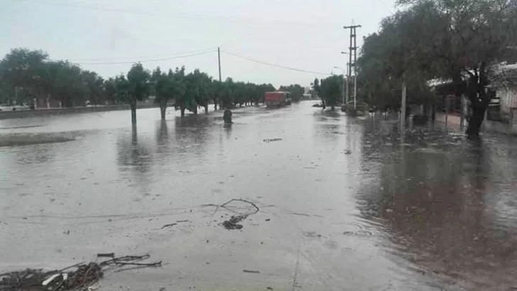 Atención: nuevos cambios en el recorrido del transporte publico