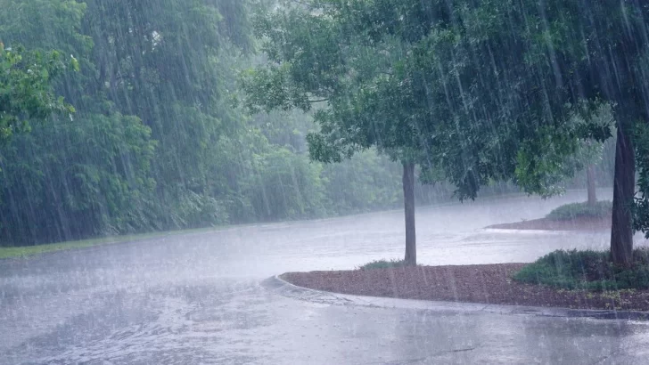 Lluvias, tormentas y ráfagas 
configuran el temporal en la región