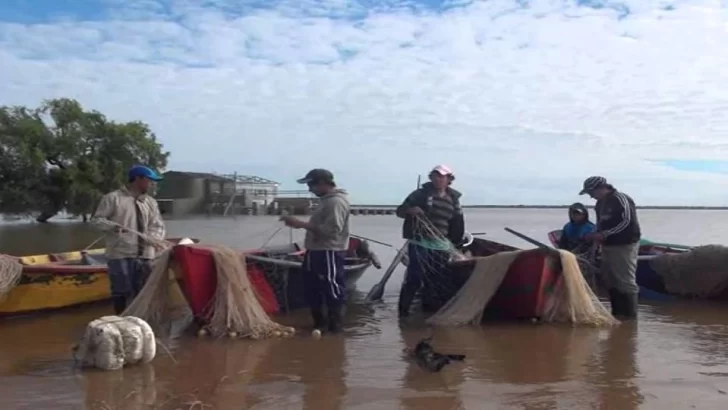 Cuestionan la pesca indiscriminada de especies en el Paraná