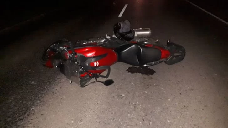 Dos adultos y un niño murieron en un terrible accidente en ruta 65