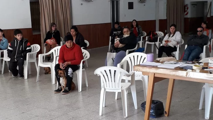 Oliveros: Operaron a una treintena de mascotas en la jornada de esterilización