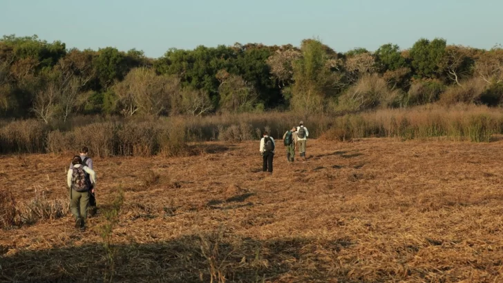 Parques Nacionales avanza en el estudio de la biodiversidad del Delta