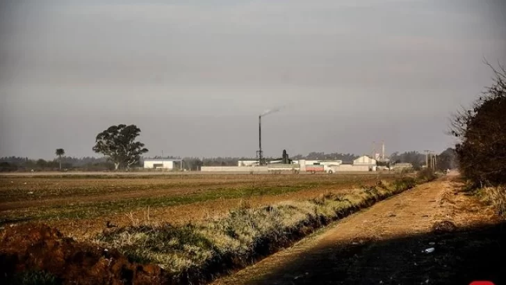 Tras la denuncia, desde la municipalidad de Puerto prometieron pedir nuevas inspecciones