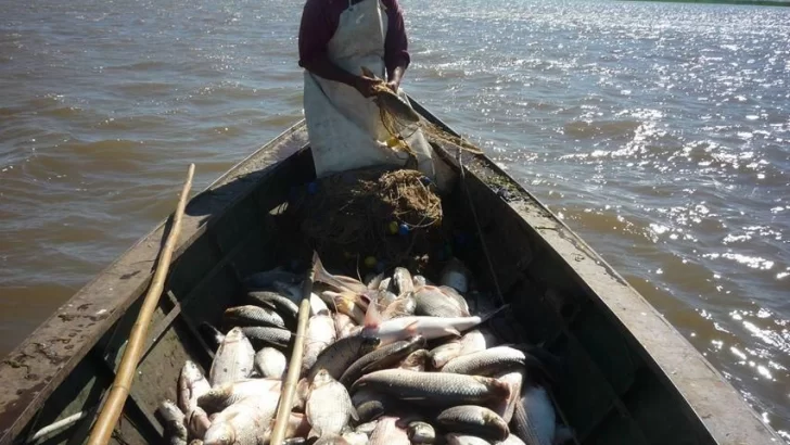 “Si no tenemos peces no se puede asegurar la sostenibilidad social ni económica”