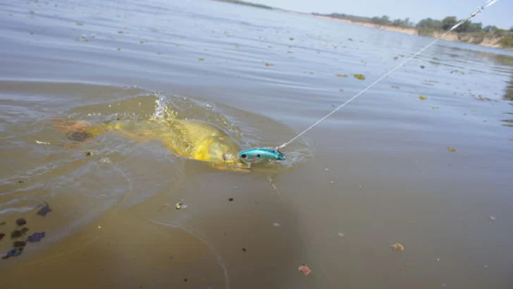 Encontraron a un pescador muerto a la altura de Puerto