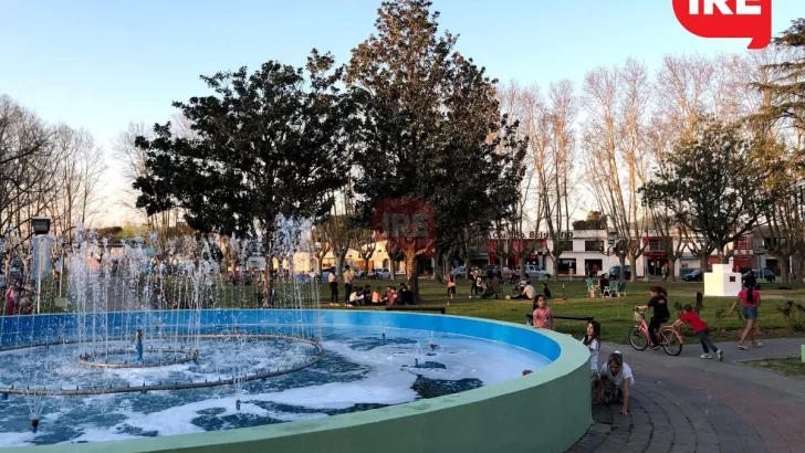 Los vecinos por el ambiente invitan a conocer “los árboles de nuestra plaza”