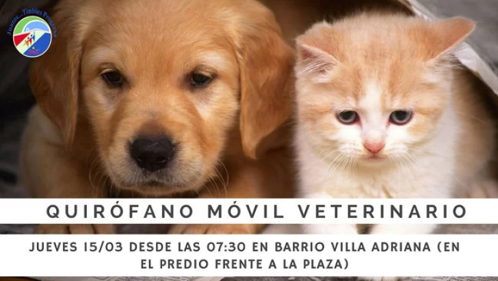 El quirófano veterinario vuelve a salir a la calle para castraciones