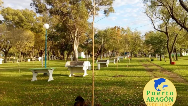 Vecinos de Barrancas pueden solicitar árboles para el frente de su hogar