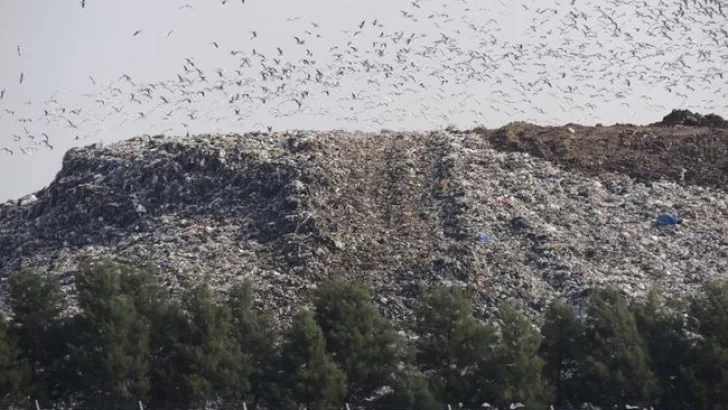 Ricardone: Un europeo producirá biogás con la basura