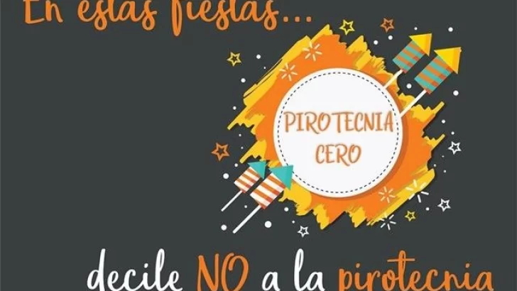 Díaz apuesta a la pirotecnia cero con la legislación vigente