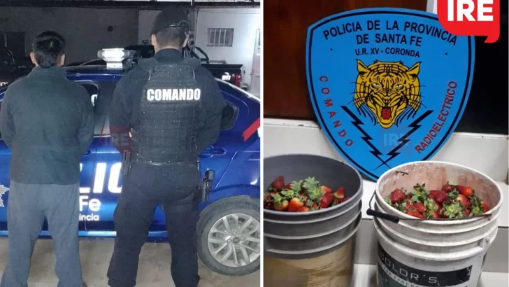 Robó en la quinta de frutillas del intendente de Coronda y quedó detenido