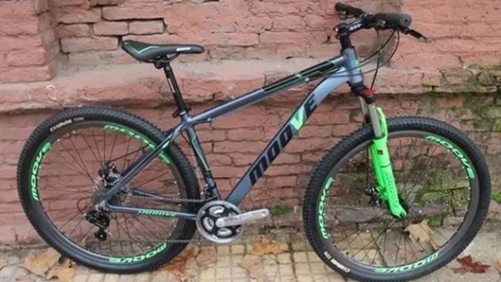 Oliveros: Le robaron la bici desde el patio de su casa y pide viralizarla