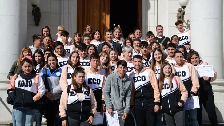 Guardias y choferes de ambulancia: El pedido de los alumnos en el Senado