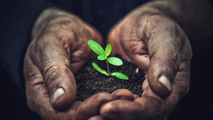 Agroecología: Mural en la Escuela, Libro y Charla Debate