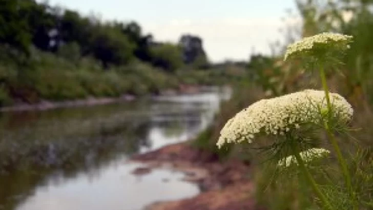 Gutierrez solicitó declarar Área Natural Protegida a la Cuenca del Arroyo de Monje