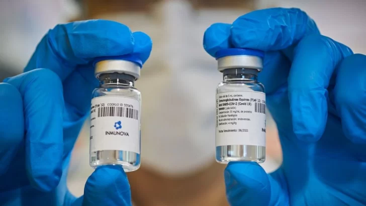 Se aprobó el uso de suero equino hiperinmune para pacientes con covid