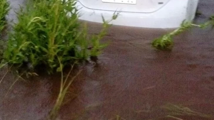 Una familia oliverense despistó ayer en ruta 11 por el temporal