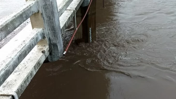 El Carcarañá entró en alerta: Alcanzó los 7.80 metros