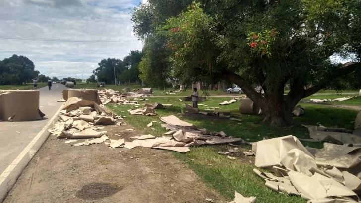 Volcó un camión que transportaba bobinas de papel sobre ruta 10