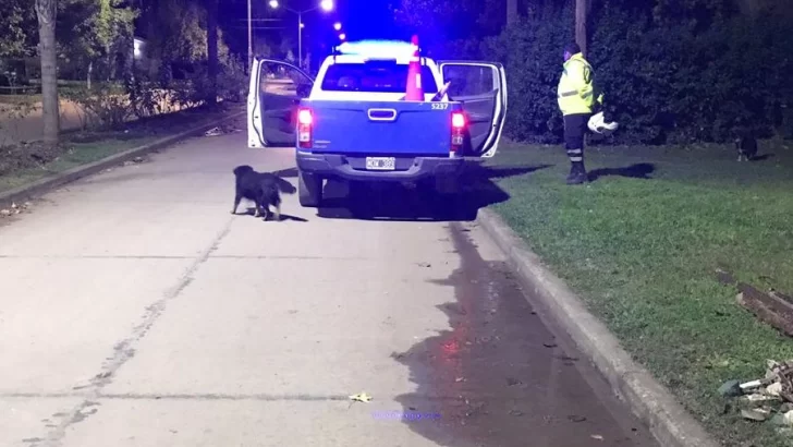 Se realizó un nuevo control en la plaza: Una moto secuestrada