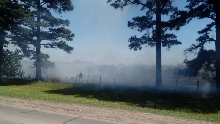 Para evitar una fumigación vecinos prendieron fuego un campo