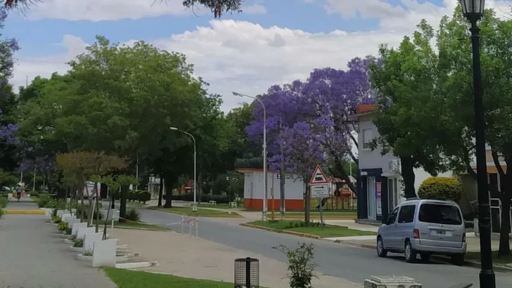 Una abuela estaba hamacando a su nieta cuando le sacaron el celular