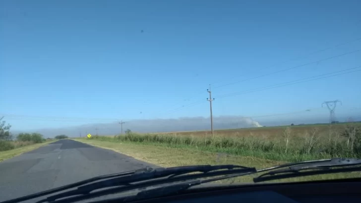 Se inició un incendio en el campo y cubrió la 65 de humo