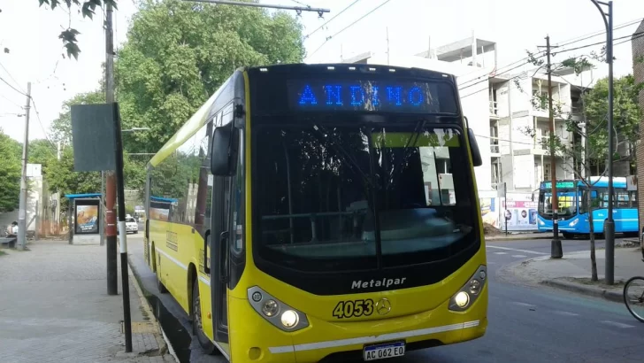 Desde el mediodía hay paro de transporte urbano e interurbano