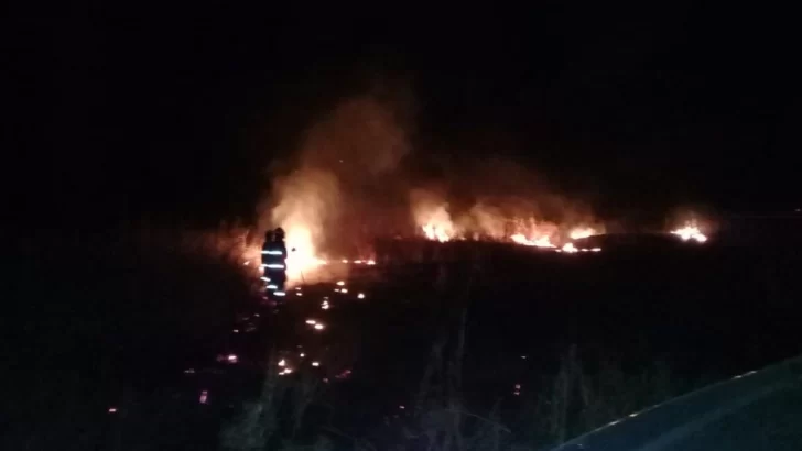 Bomberos sin descanso: Hoy hubo quema de campos y banquinas