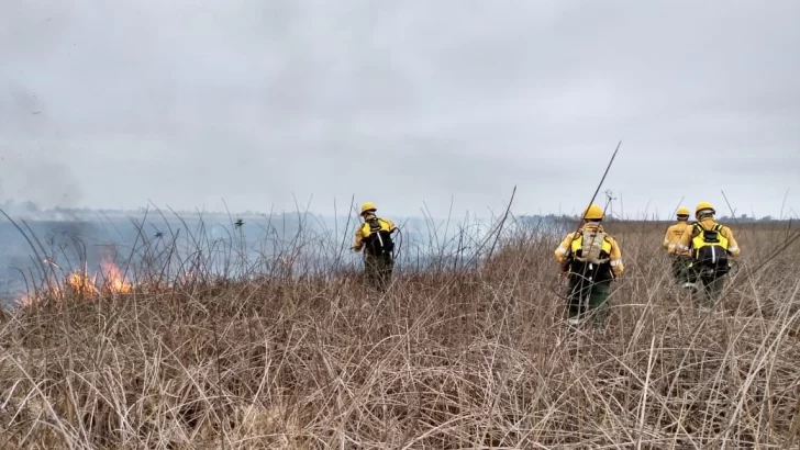 El incendio en las islas: “No recuerdo que haya habido una quema tan grande”