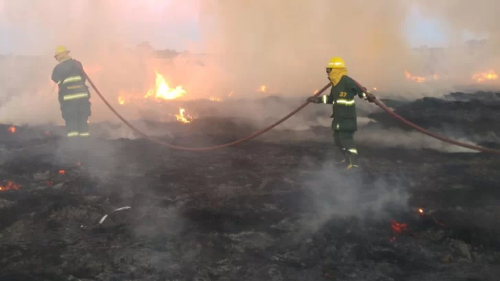 Gran incendio de pastizales en una chanchería sobre ruta 11 alertó a Maciel