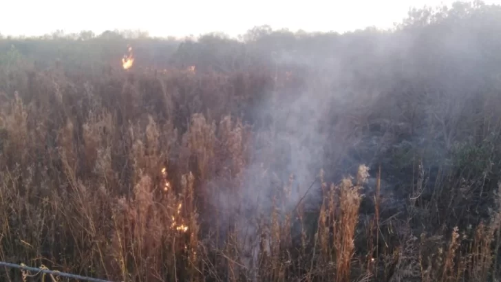 Se incendió un campo de pastizales en Maciel: Ya fue controlado