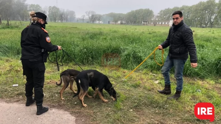 Keyla y Cartucho fueron adiestrados y buscan un hogar