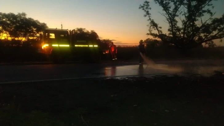 Productores avícolas alerta ante la falta de luz: “Están en riesgo los animales”