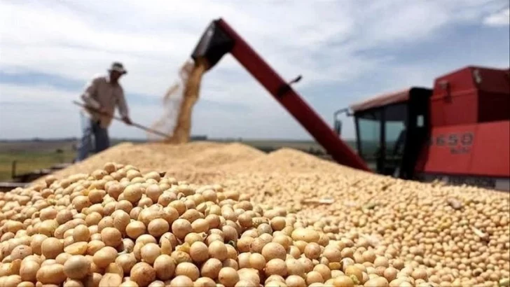 Rechazo al cierre de la exportación de harina y aceite de soja: “Perjudica a la actividad productiva de la región”