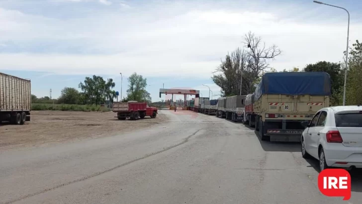 Cosecha Gruesa: Piden conformar una Mesa Logística y pensar soluciones urgentes