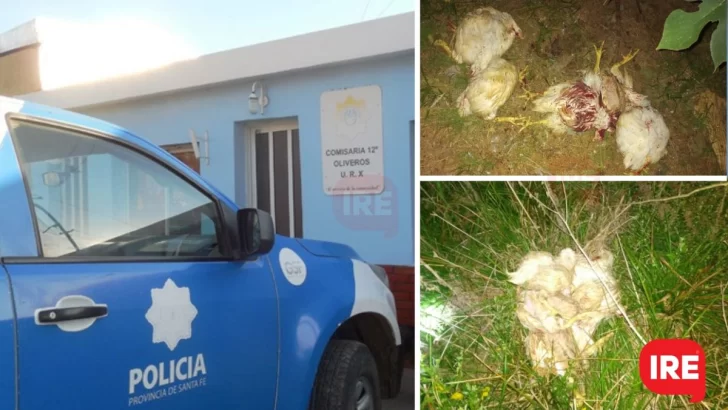 Un oliverense entró a robar pollos, denunciaron ruidos extraños y quedó detenido