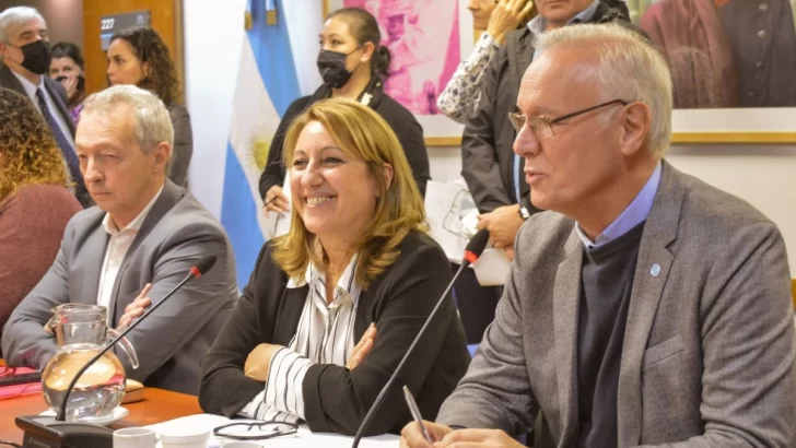 Mónica Fein fue electa como presidenta de Salud en Diputados