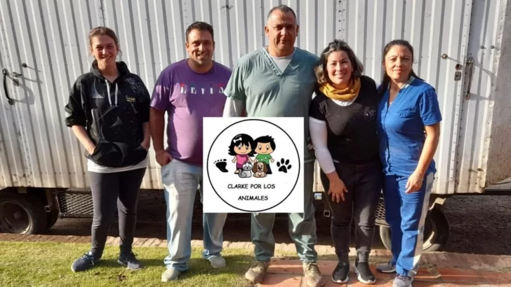 Carrizales operó a 36 animales en una nueva jornada de castraciones gratuitas