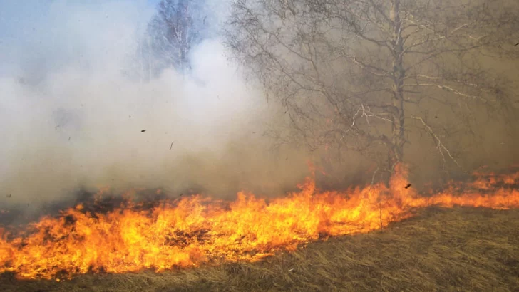 Bomberos de Barrancas acudieron a un incendio de pastizales en Bernardo de Irigoyen